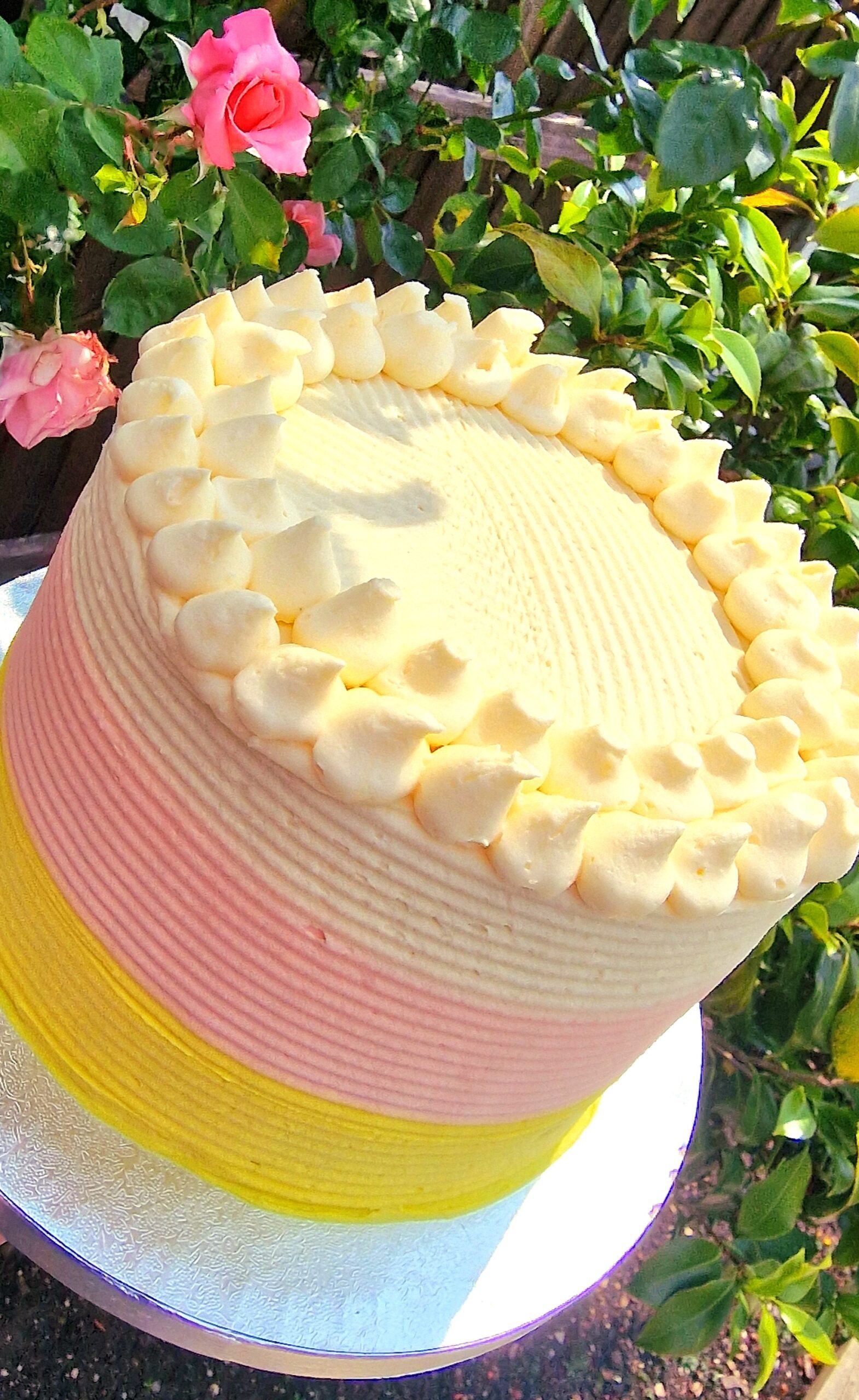 Fresh Cream Black Forest Dessert Cups